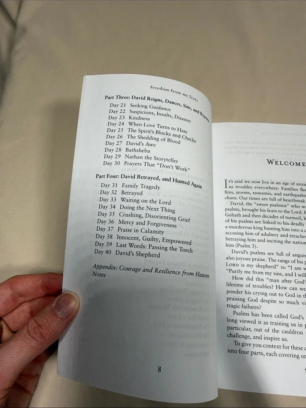 Inspirational Psalms Book Set - Paperback